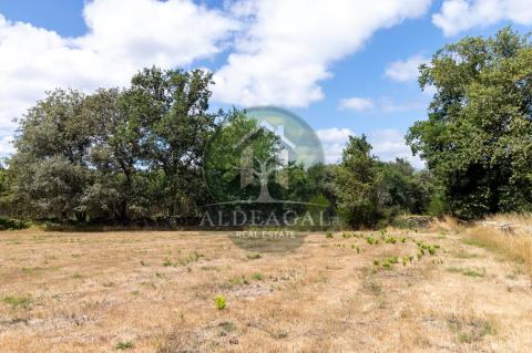 Venta - Lugo - Ref: C2