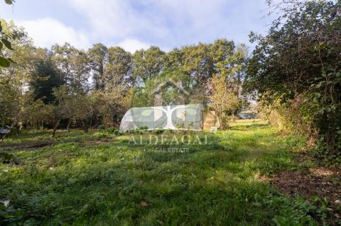 Venta - Begonte - Ref: C4