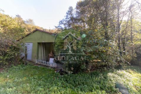 Venta - Begonte - Ref: C4