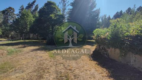 Venta - Friol - Ref: C9