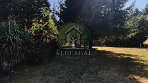 Venta - Friol - Ref: C9