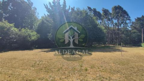 Venta - Friol - Ref: C9